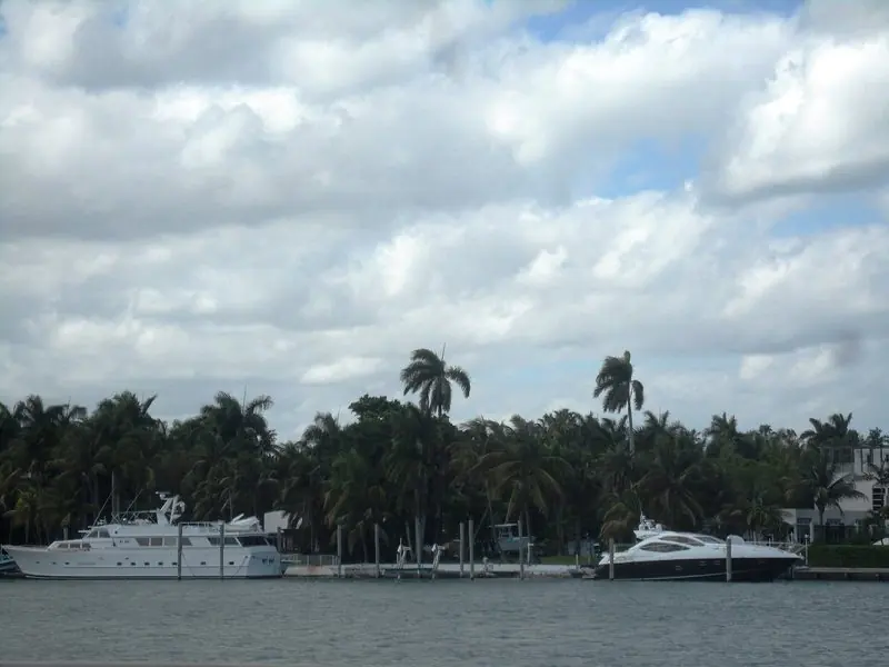 Motor yachts docked along a palm-lined waterway in Miami